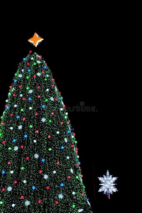 13130 National Christmas Tree Stock Photos Free And Royalty Free Stock