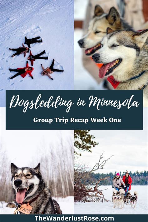 Dog Sledding In Minnesota Dog Sledding Minnesota Travel Group Travel