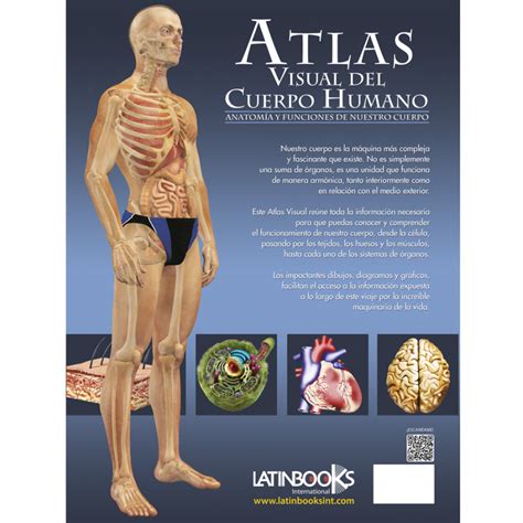 Sueño Voluntario Estoy De Acuerdo Con Atlas De Anatomia Del Cuerpo