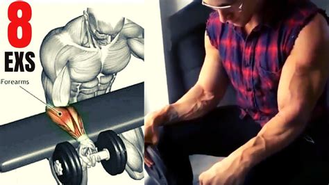 8 Best Forearm Workout With Dumbbells Youtube