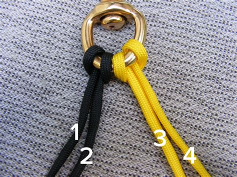 Will fit most medium size dogs (female aussie, male bc, etc). Make A Paracord Dog Leash