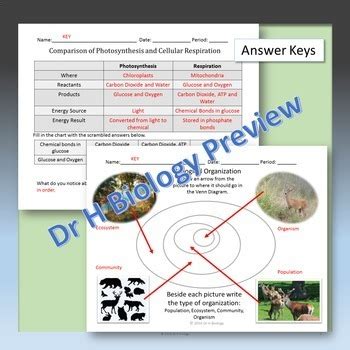 Students attending public high schools in the state of texas are required to pass five staar eoc tests to graduate. Biology STAAR Review - Biological Processes & Systems by DrH Biology