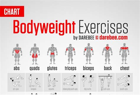 Bodyweight Exercises Target Every Part Of Your Body By Neila Rey