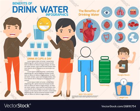 People Drinking Water And Benefits Drink Water Vector Image