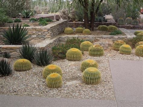 Desert Landscaping Ideas Basic Rules To Design A Great