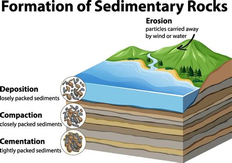 Formation Of Sedimentary Rocks 3426736 Vector Art At Vecteezy