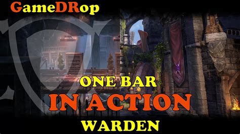 Eso Warden One Bar Build In Action 👉dps Meter On 🏰 Scriveners Hall Vet