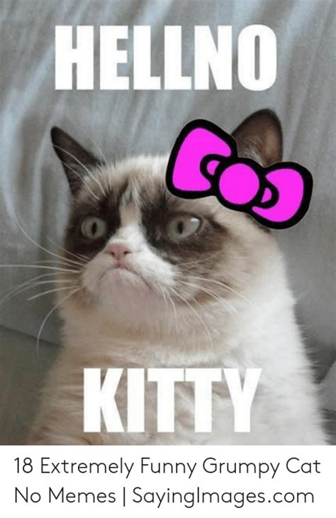 Grumpy Cat Meme Dashing Through The No Luisa Rowe