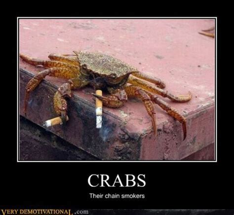 Funny Demotivational Posters Part 56 Fun