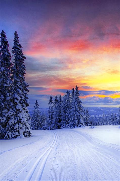 5761 snow hd wallpapers and background images. Download wallpaper 800x1200 norway, winter, forest, snow ...
