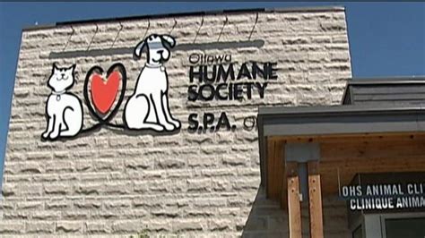 Ottawa Humane Society offers $5,000 reward for information in deaths of ...