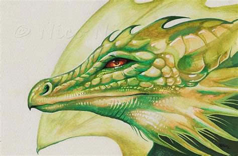 Dragon By Nico Niemi From Dragons