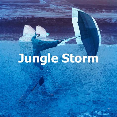 Jungle Storm Album By Rain Sounds Sleep Spotify
