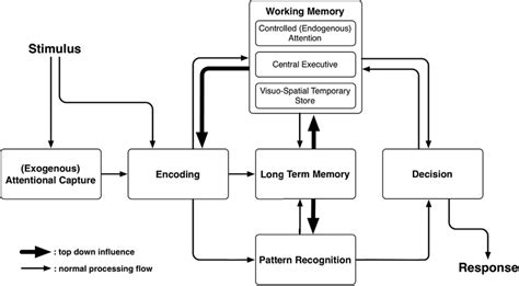 Overview Of Human Cognition Based On A Dual Process Framework For