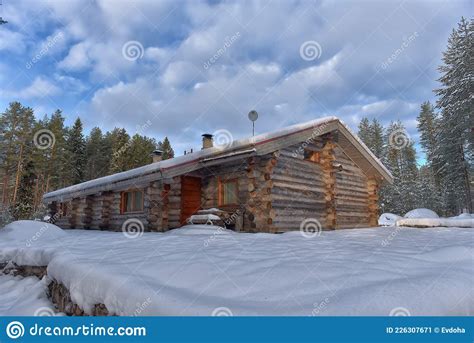 Log Cabin In A Pine Forest In Winter Stock Image Image Of Snowy