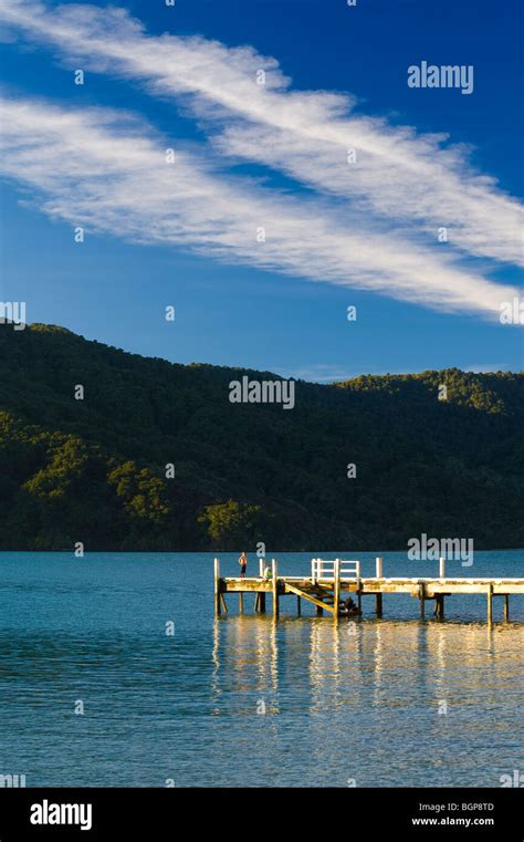 Queen Charlotte Sound South Island New Zealand Stock Photo Alamy