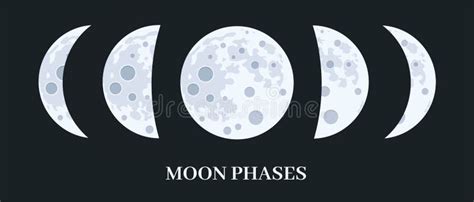 Vector Set Of Moon Phases Stock Vector Illustration Of Moon 204947226