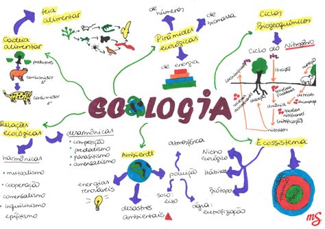 Mapa Mental Ecologia Biologia