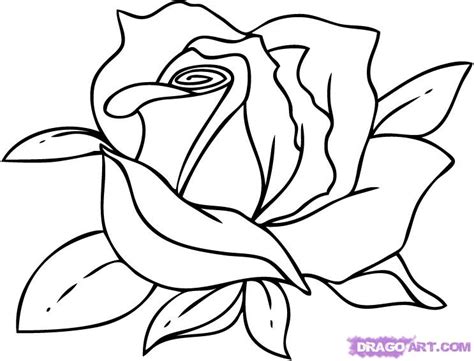 How To Draw A Cartoon Rose Step By Step Flowers Pop