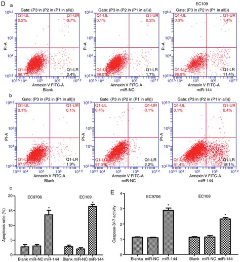 continued mir 144 suppresses cell proliferation and tumor formation download scientific