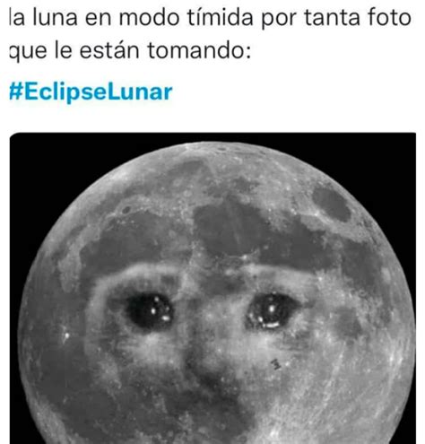Los Memes Que Dejó El Eclipse Lunar Diario Panorama