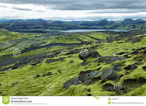Volcanic Landscape In Lakagigar Stock Photo Image Of Grass Laki