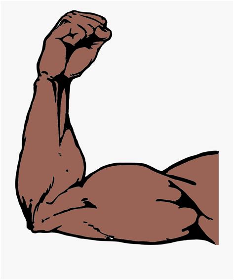 Muscles Clipart Arm Strength Muscles Arm Strength Transparent Free For