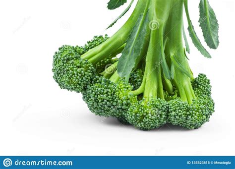 Healthy Green Organic Raw Broccoli Isolated Over White Background