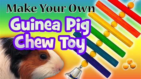 Make Your Own Guinea Pig Chew Toy Diy Youtube