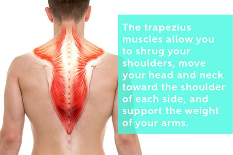 muscle knots in back of neck won t go away try this the feel good lab