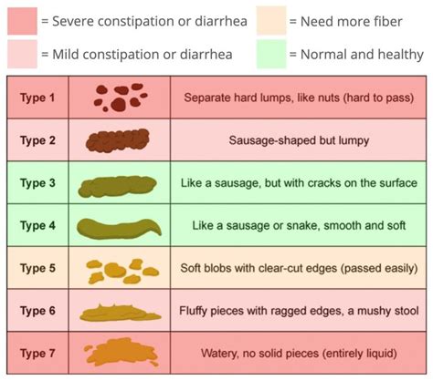 What Poop Says About Your Health According To The Poop Chart