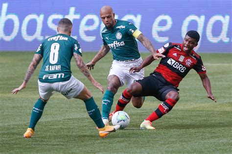 Maybe you would like to learn more about one of these? Molecada do Flamengo dá um nó no Palmeiras - E Tenho Dito!