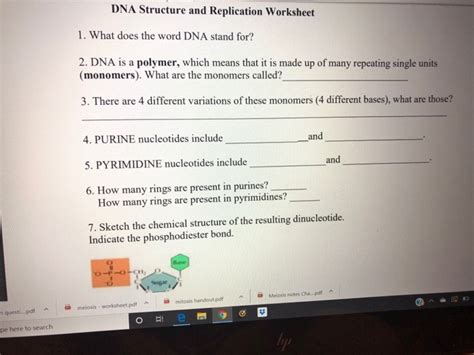 Other, more complex forms of rna complementarity include rna binding protein, in structures like ribosomes, but the. Complementary Base Handout : 123 Dna Replication Worksheet ...