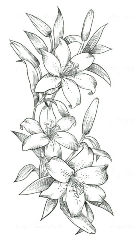 Image Cartoon Flowers Flower Sketches Flowers Sketch Flower Drawing