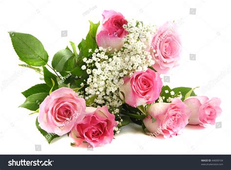 Beautiful Pink Roses Bouquet Isolated On Stock Photo