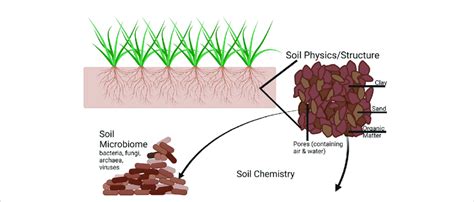A Depiction Of The Complexity Of Soil Including The Soil Download