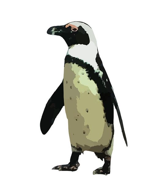 Penguin Tux Animal · Free Vector Graphic On Pixabay