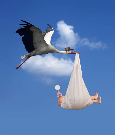 Real Stork Bringing Baby Vlrengbr