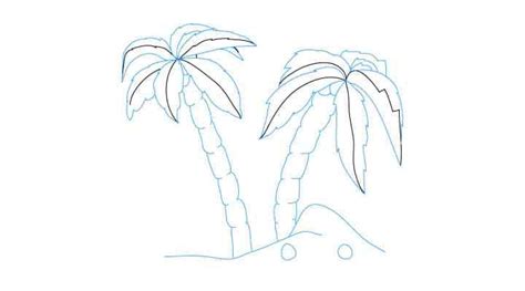 Comment Dessiner Des Palmiers Dessein De Dessin