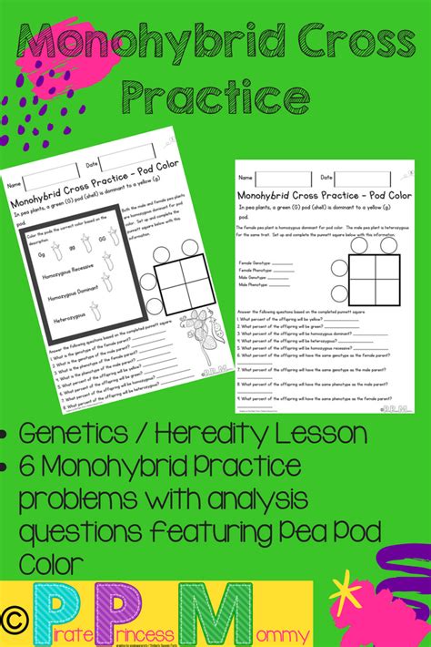 I would bet that every biology teacher today begins with the story of mendel. Monohybrid Cross Practice Problems Worksheet - worksheet