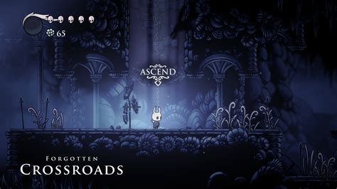 Hollow Knight Forgotten Crossroads Guide Hold To Reset