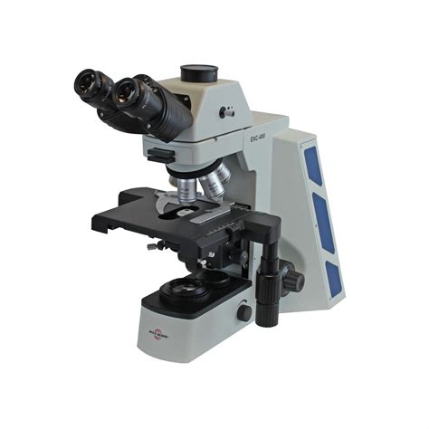 EXC Trinocular Microscope With Plan Objectives Upright Microscopes Microscopes ACCU