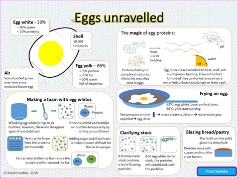 Science Of Eggs Explained In One Image Infographic Foodcrumbles