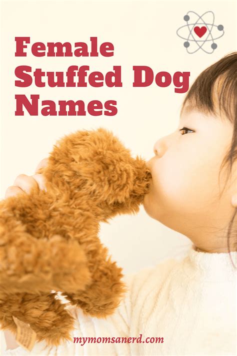 Stuffed Dog Names 273 Great Ideas For Your Favorite Plush Puppy My