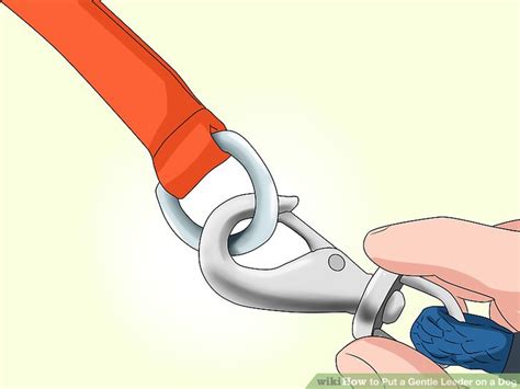Gentle leader how to use. How to Put a Gentle Leader on a Dog: 11 Steps (with Pictures)