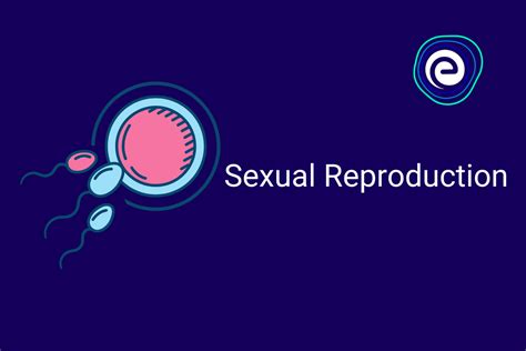 Sexual Reproduction Types Modes And Process Embibe