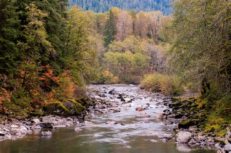 Autumn Colors Along The South Fork Stillaguamish River Washington 2015