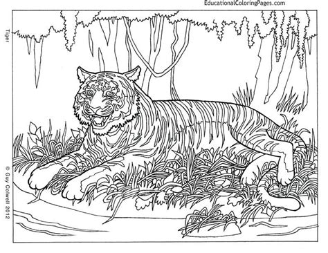 Coloring Pages Animals Hard All Wallpapers Quotes Images Greetings