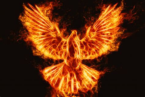 From the official conference page at. Bird fire abstract background Photo | Premium Download