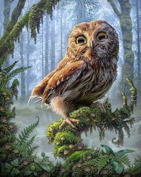 150 Best All Owl Artwork Images In 2019 Owl Owl Art Cute Owl